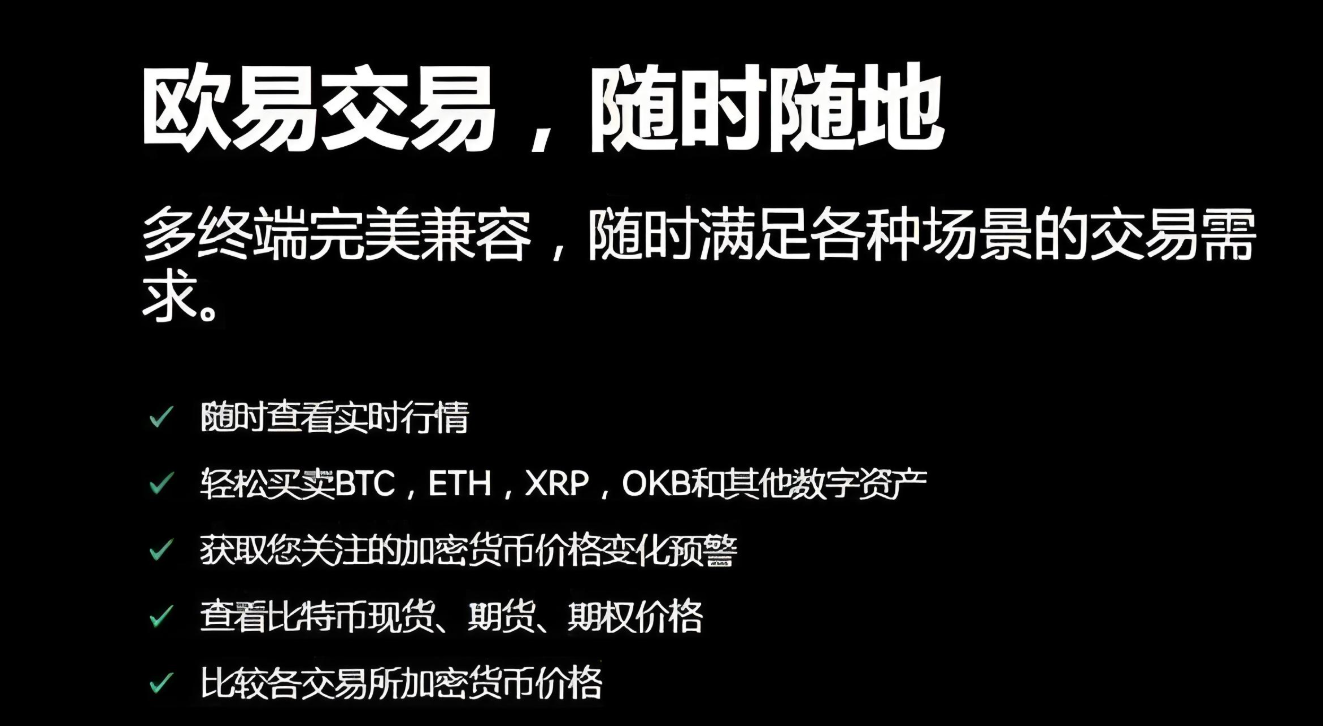 融通资金表股东借款
